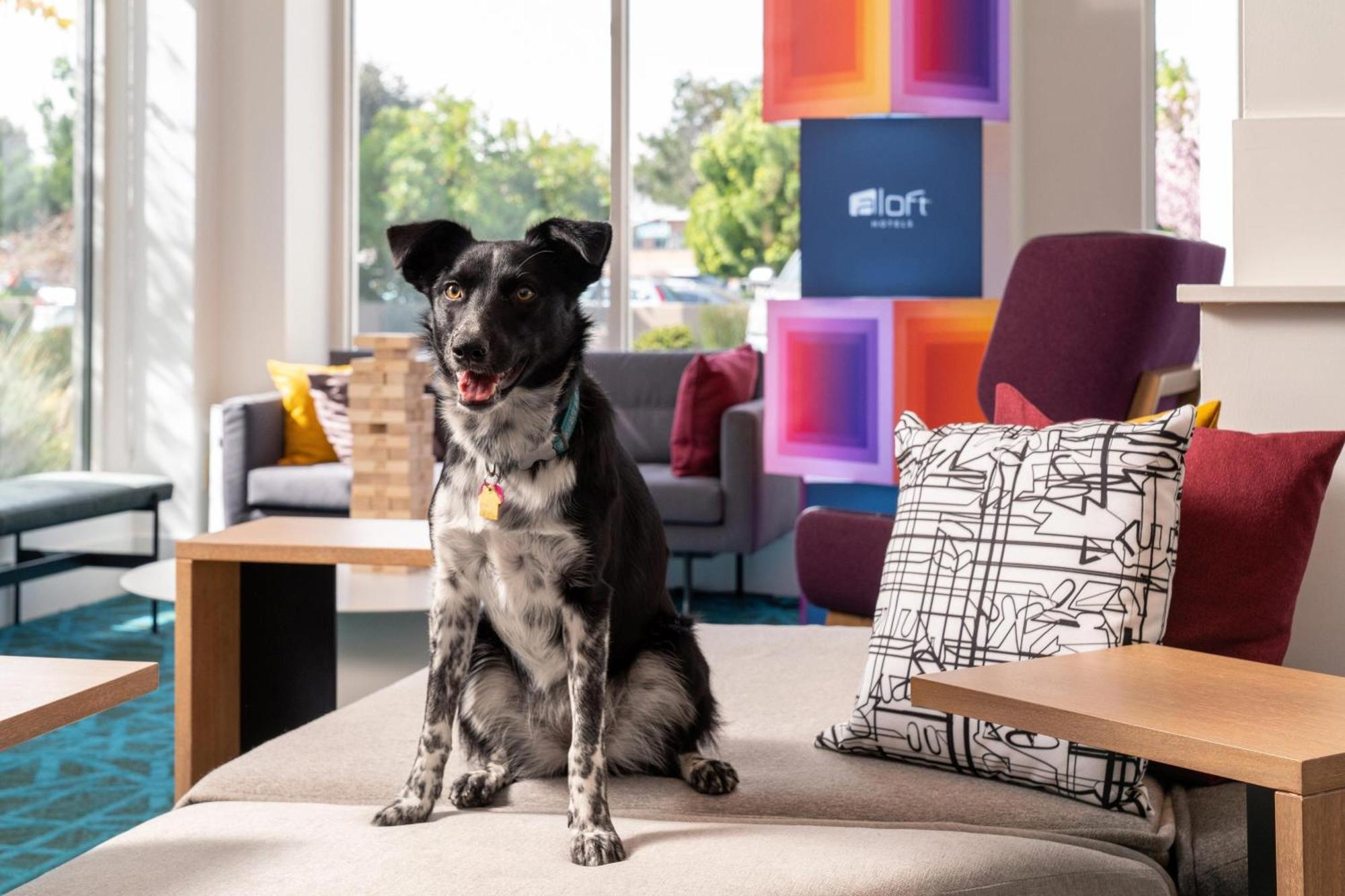 Aloft Mountain View Hotel Ngoại thất bức ảnh